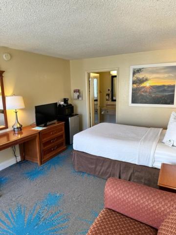 Days Inn By Wyndham Asheville West Candler Extérieur photo