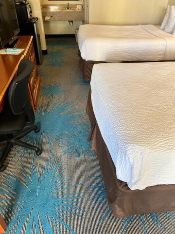 Days Inn By Wyndham Asheville West Candler Extérieur photo